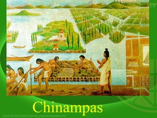 Chinampas
 
