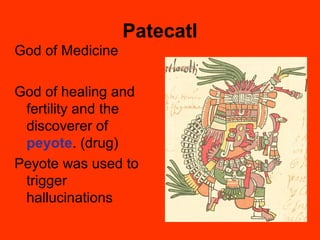 Patecatl
God of Medicine
God of healing and
fertility and the
discoverer of
peyote. (drug)
Peyote was used to
trigger
hallucinations
 