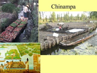 Chinampa
