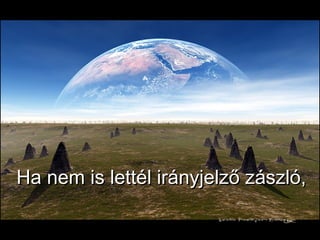 Ha nem is lettél irányjelző zászló, 