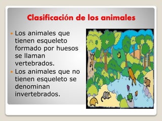 Clasificación de los animales
 Los animales que
tienen esqueleto
formado por huesos
se llaman
vertebrados.
 Los animales que no
tienen esqueleto se
denominan
invertebrados.
 