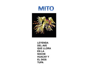 LEYENDA
DEL AVE
QUE LLORA
EN LA
NOCHE
HUACAY Y
EL DIOS
TUPA
 