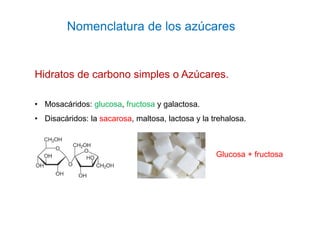 Nomenclatura de los azúcares
Hidratos de carbono simples o Azúcares.
• Mosacáridos: glucosa, fructosa y galactosa.
• Disac...