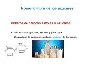 Nomenclatura de los azúcares
Hidratos de carbono simples o Azúcares.
• Mosacáridos: glucosa, fructosa y galactosa.
• Disac...