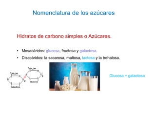 Nomenclatura de los azúcares
Hidratos de carbono simples o Azúcares.
• Mosacáridos: glucosa, fructosa y galactosa.
• Disac...