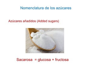 Nomenclatura de los azúcares
Azúcares añadidos (Added sugars)
HFCS
Sacarosa = glucosa + fructosa
 