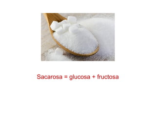 Sacarosa = glucosa + fructosa
 