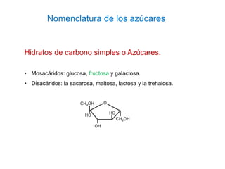 Nomenclatura de los azúcares
Hidratos de carbono simples o Azúcares.
• Mosacáridos: glucosa, fructosa y galactosa.
• Disac...