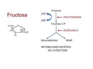 Fructosa
 
