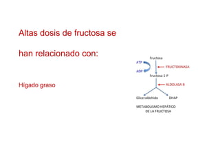 Altas dosis de fructosa se
han relacionado con:
Hígado graso
 