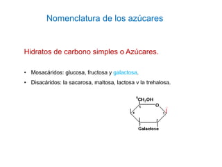 Nomenclatura de los azúcares
Hidratos de carbono simples o Azúcares.
• Mosacáridos: glucosa, fructosa y galactosa.
• Disac...