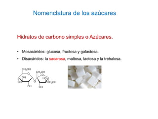 Nomenclatura de los azúcares
Hidratos de carbono simples o Azúcares.
• Mosacáridos: glucosa, fructosa y galactosa.
• Disac...