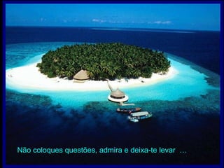 Não coloques questões, admira e deixa-te levar  … 