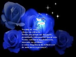 Vestida de Azul,  chego em silêncio. Pétala por pétala me desnudo, permitindo transparecer quem sou. Venho enfeitar a tua Primavera, trazendo no perfume,  a suave fragrância do reflorescer  de uma nova esperança!.. 