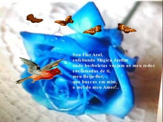 Sou Flor Azul, enfeitando Mágico Jardim  onde borboletas voejam ao meu redor  enciumadas de ti,  meu Beija-flor, que buscas em mim,  o mel do meu Amor!.. 