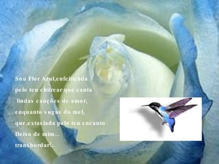 Sou Flor Azul,enfeitiçada  pelo teu chilrear que canta lindas canções de amor, enquanto sugas do mel,  que,extasiada pelo teu encanto  Deixo de mim... transbordar!.. 