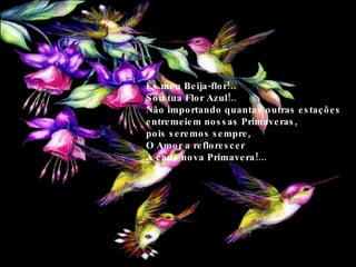 És meu Beija-flor!.. Sou tua Flor Azul!.. Não importando quantas outras estações  entremeiem nossas Primaveras, pois seremos sempre, O Amor a reflorescer  A cada nova Primavera!... 