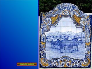 CAVALOS, AVEIRO 