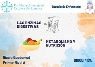 Escuela de Enfermería
Nicole Guadamud
BIOQUÍMICA
Primer Nivel A
LAS ENZIMAS
DIGESTIVAS
METABOLISMO Y
NUTRICIÓN
 