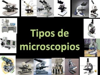 Tipos de microscopios 