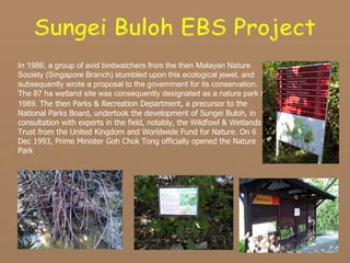 Sungei Buloh EBS Project .  In 1986, a group of avid birdwatchers from the then Malayan Nature Society (Singapore Branch) stumbled upon this ecological jewel, and subsequently wrote a proposal to the government for its conservation. The 87 ha wetland site was consequently designated as a nature park in 1989.   The then Parks & Recreation Department, a precursor to the National Parks Board, undertook the development of Sungei Buloh, in consultation with experts in the field, notably, the Wildfowl & Wetlands Trust from the United Kingdom and Worldwide Fund for Nature. On 6 Dec 1993, Prime Minister Goh Chok Tong officially opened the Nature Park 