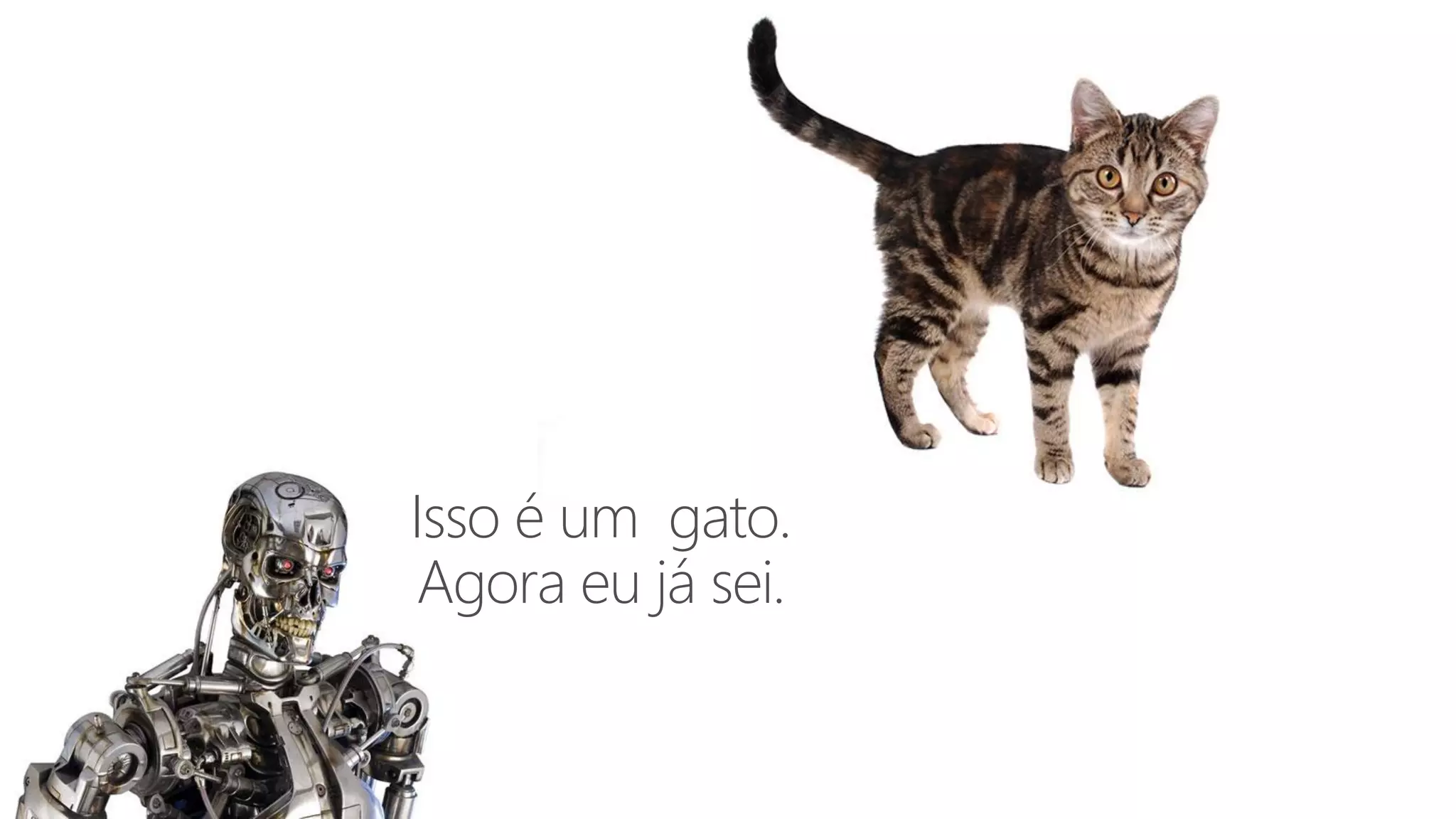 Isso é um gato.
Agora eu já sei.
 