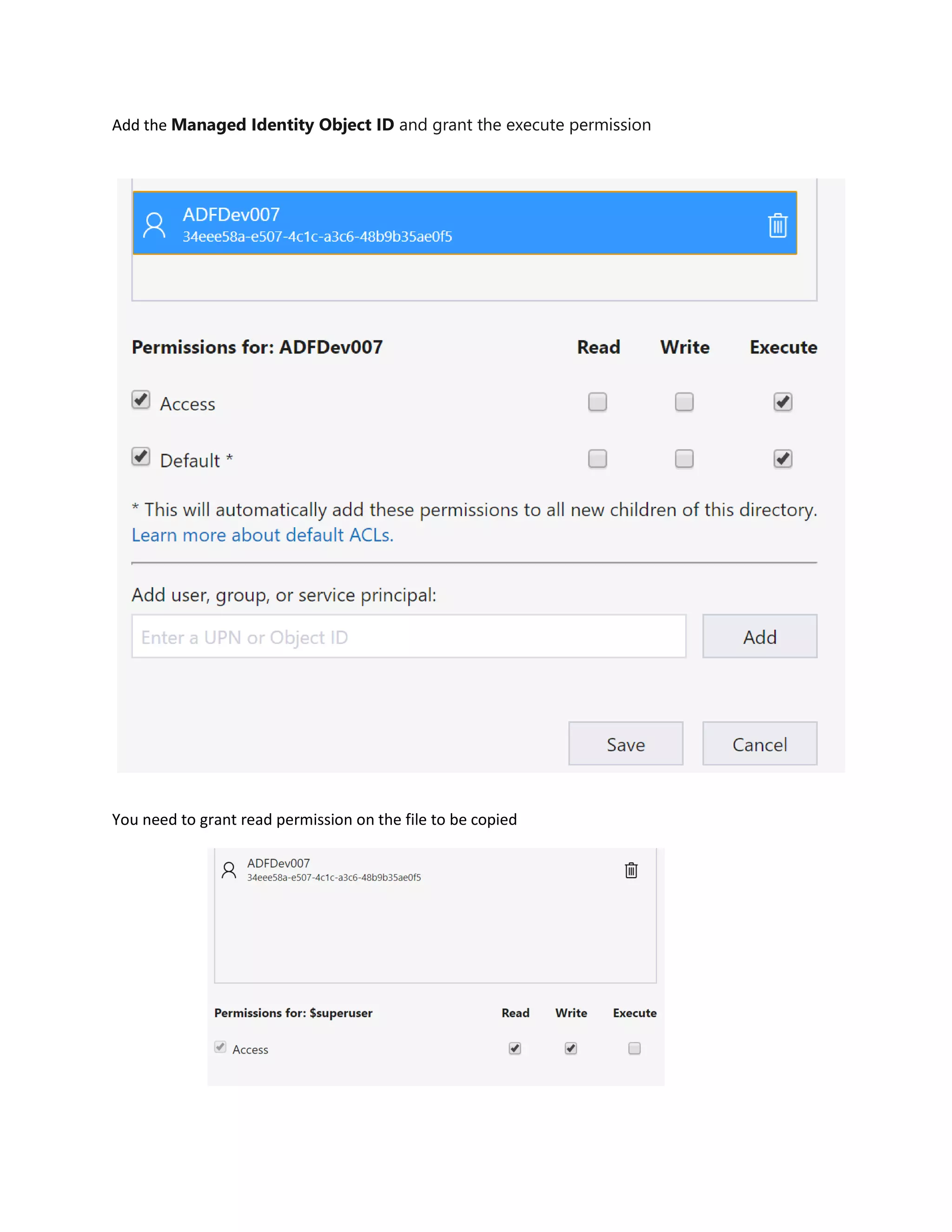 Add the Managed Identity Object ID and grant the execute permission
You need to grant read permission on the file to be copied
 