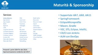 • Supportate Jdk7, Jdk8, Jdk11
• SpringFramework
• EclipseMicroprofile
• Maven, Gradle
• VSC, STS, Eclipse, IntelliJ,
• CD/CI con Jenkins
• ALM con DevOps
Maturità & Sponsorship
«Arduo da vedere il
Lato Oscuro è.»
Presenti i primi SDK fin dal 2014.
Sponsorizzazione evidente dal 2017.
 