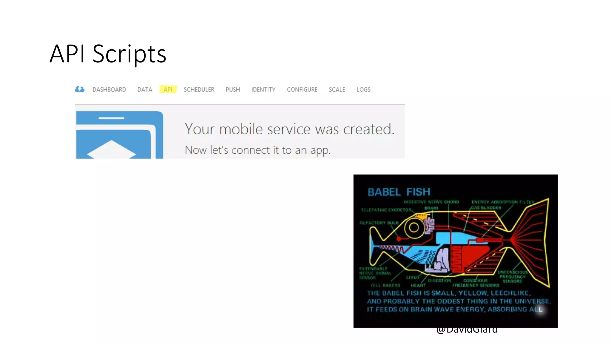 @DavidGiard 
API Scripts 
 