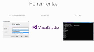 SQL Management Studio Visual Studio SQL CMD
 