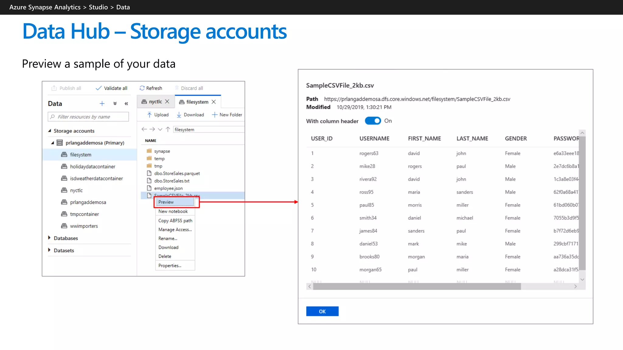 Data Hub – Storage accounts
Preview a sample of your data
 