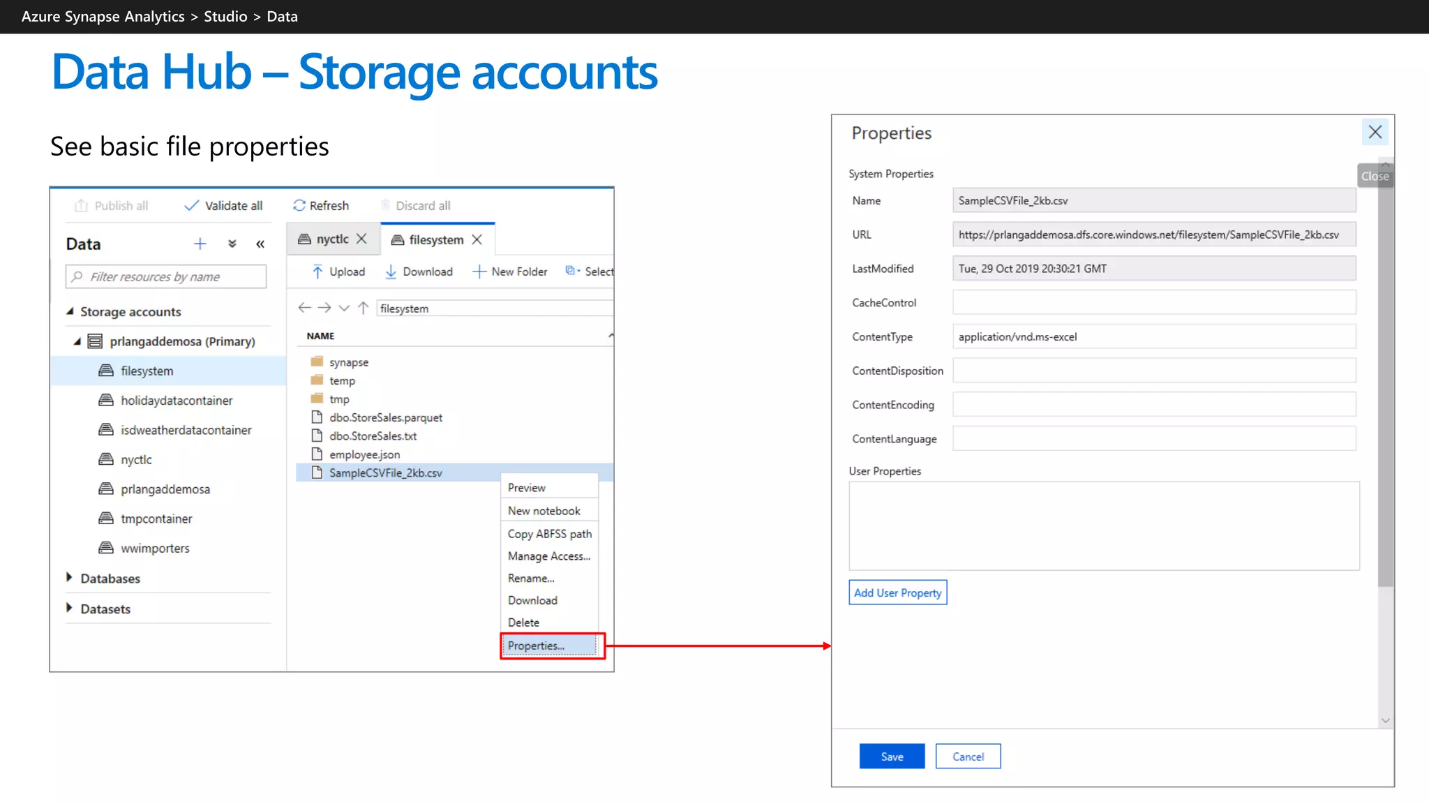 Data Hub – Storage accounts
See basic file properties
 