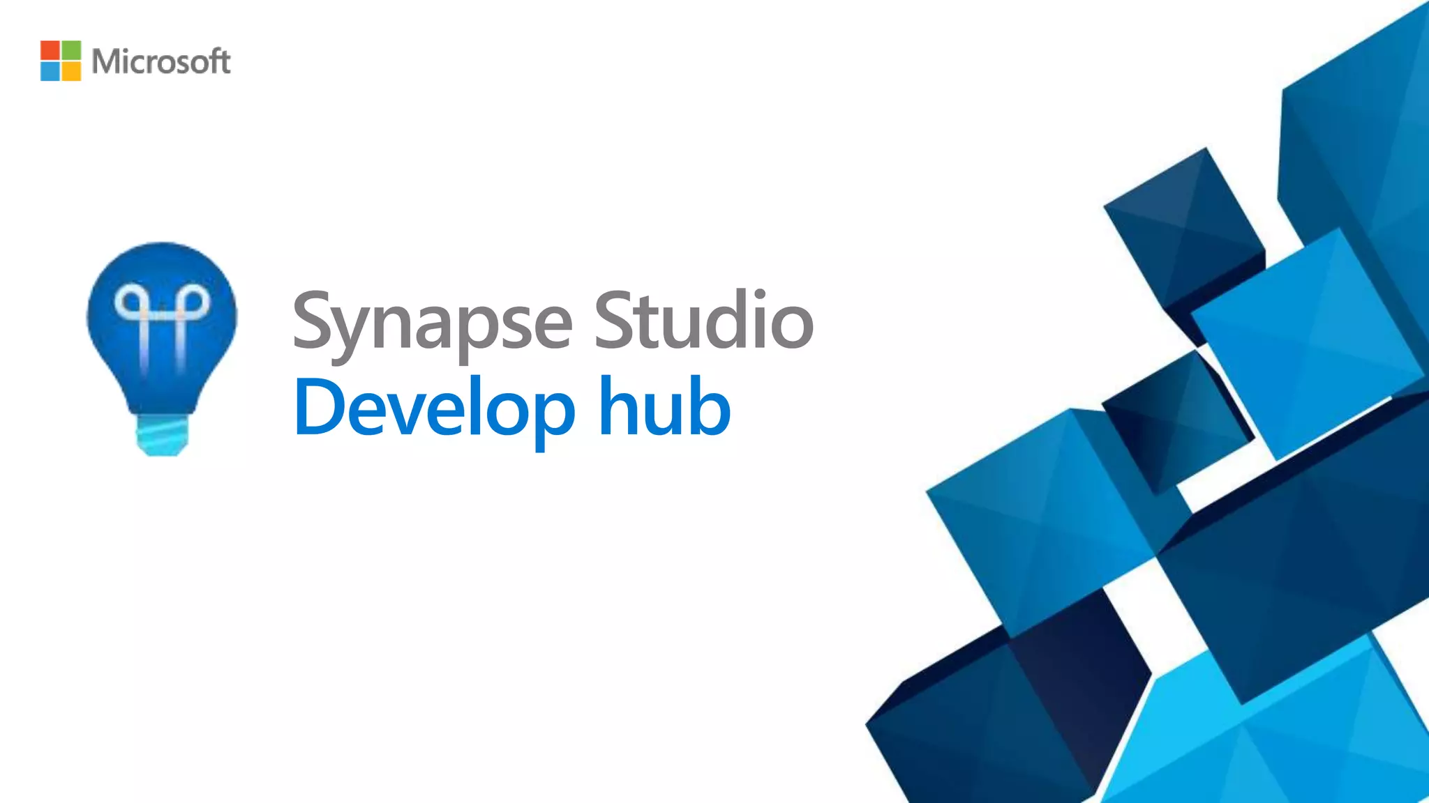 Synapse Studio
Develop hub
 