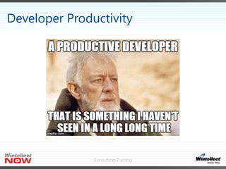Consulting/Training
Developer Productivity
 