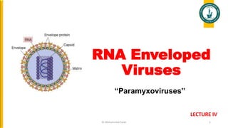 RNA Enveloped
Viruses
Dr Mohammed Salah 1
LECTURE IV
“Paramyxoviruses”
 