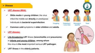  Disease
 URT disease (Mild);
 Life-threatening LRT illness (bronchiolitis and pneumonia)
in infants and young children, among whom
this virus is the most important serious LRT pathogen.
 LRT illness in the elderly patients.
 Otitis media in young children; the virus
infect the middle ear directly or predispose
individuals to bacterial superinfection.
 Common cold symptoms in older children and adults.
 LRT disease;
 