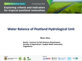 Water Balance of Peatland Hydrological Unit
Azwar Maas
Senior Lecturer in Soil Science Department,
Faculty of Agriculture. Gadjah Mada University.
Yogyakarta
 