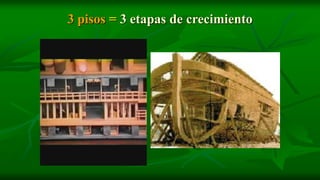 3 pisos = 3 etapas de crecimiento
 
