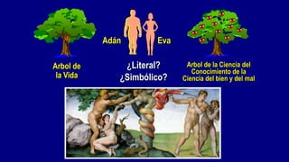 Adán       Eva

Arbol de       ¿Literal?     Arbol de la Ciencia del
                               Conocimiento de la
 la Vida      ¿Simbólico?   Ciencia del bien y del mal
 