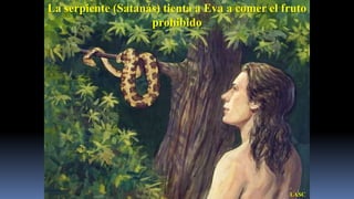 La serpiente (Satanás) tienta a Eva a comer el fruto
                    prohibido




                                                LASC
 