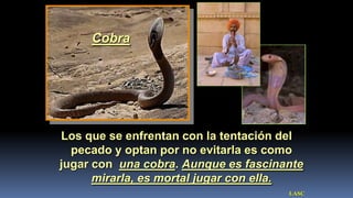 Cobra




Los que se enfrentan con la tentación del
  pecado y optan por no evitarla es como
jugar con una cobra. Aunque es fascinante
      mirarla, es mortal jugar con ella.
                                      LASC
 