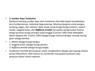 •   2. Sumber Daya Tumbuhan
    Berbicara tentang sumber daya alam tumbuhan kita tidak dapat menyebutkan
    jenis tumbuhannya, melainkan kegunaannya. Misalnya berguna untuk pangan,
    sandang, pagan, dan rekreasi. Akan tetapi untuk bunga-bunga tertentu, seperti
    melati, anggrek bulan, dan Rafflesia arnoldi merupakan pengecualian karena
    ketiga tanaman bunga tersebut sejak tanggal 9 Januari 1993 telah ditetapkan
    dalam Keppres No. 4 tahun 1993 sebagai bunga nasional dengan masing-masing
    gelar sebagai berikut.
•   1. Melati sebagai bunga bangsa.
    2. Anggrek bulan sebagai bunga pesona.
    3. Raffiesia arnoldi sebagai bunga langka.
•   Tumbuhan memiliki kemampuan untuk menghasilkan oksigen dan tepung melalui
    proses fotosintesis. Oleh karena itu, tumbuhan merupakan produsen atau
    penyusun dasar rantai makanan.
 
