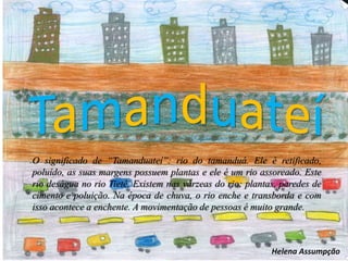 O significado de “Tamanduateí”: rio do tamanduá. Ele é retificado,
poluído, as suas margens possuem plantas e ele é um rio assoreado. Este
rio deságua no rio Tietê. Existem nas várzeas do rio: plantas, paredes de
cimento e poluição. Na época de chuva, o rio enche e transborda e com
isso acontece a enchente. A movimentação de pessoas é muito grande.
Helena Assumpção
 