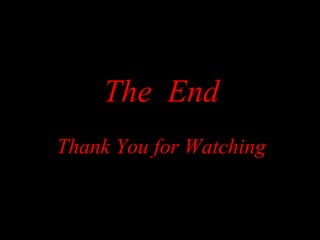 The End
Thank You for Watching

 