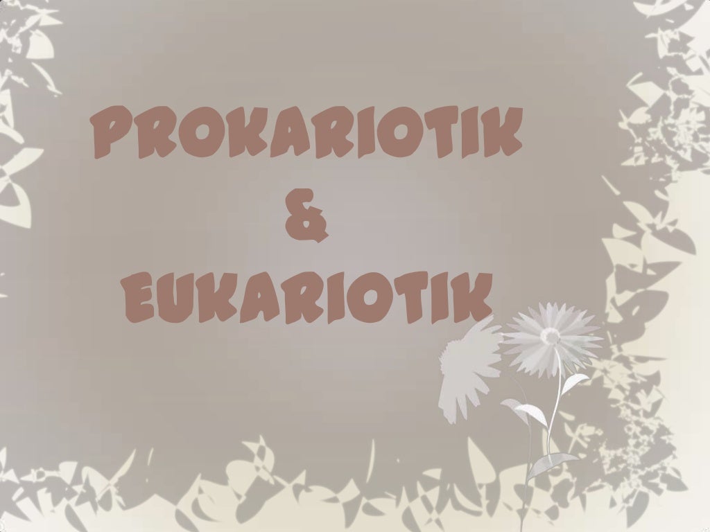 Prokariot Dan Eukariot Prokariot dan Eukariot