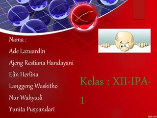 Review Text) SMA
