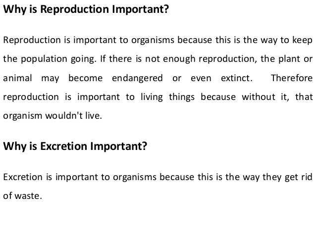 Reproduction Excretion And Sensitivity Elementary And Primary Educ reproduction-excretion-and-sensitivity-elementary-and-primary-educ
