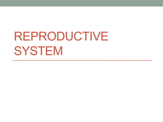 REPRODUCTIVE 
SYSTEM 
 