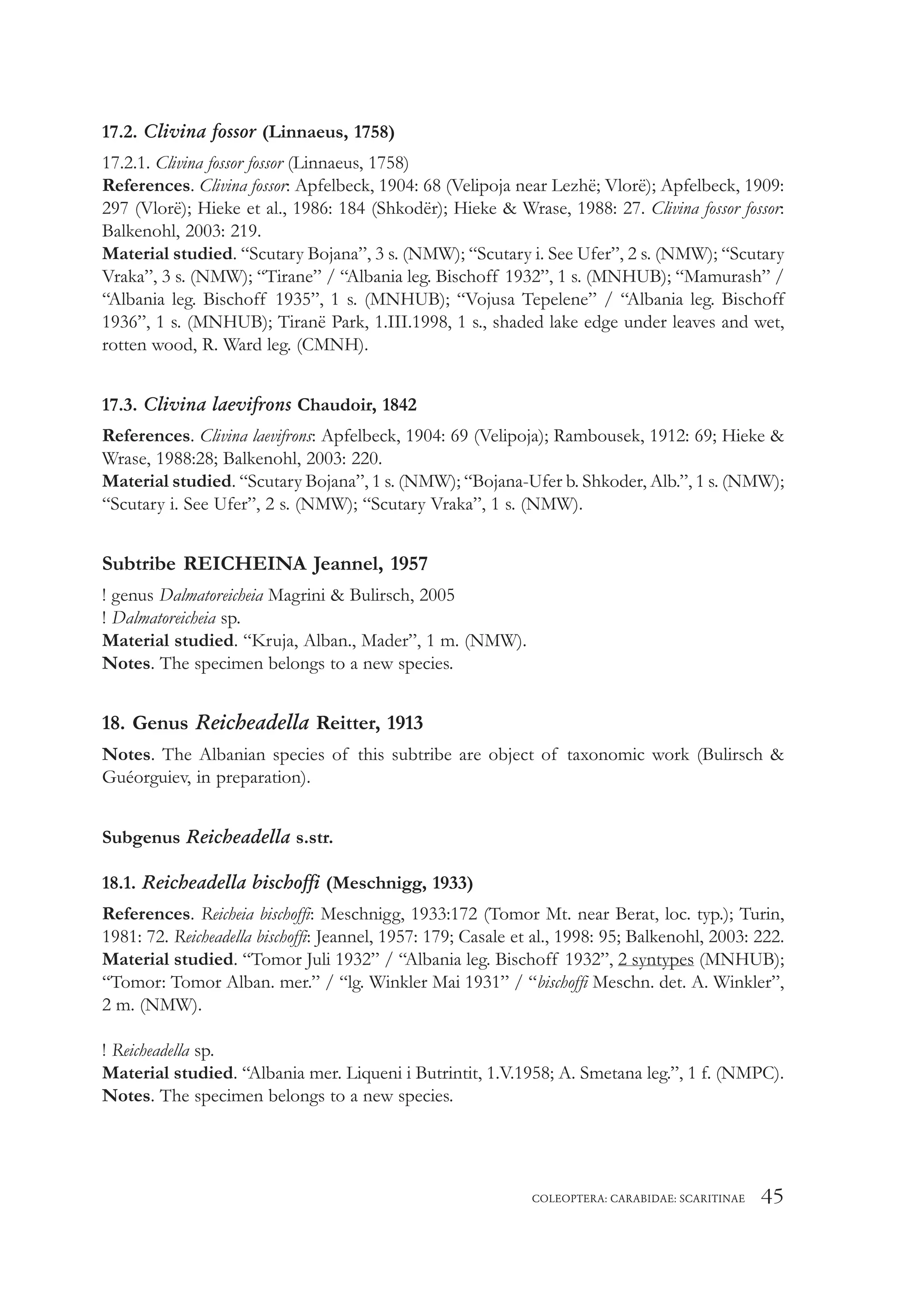 COLEOPTERA: CARABIDAE: SCARITINAE 45
17.2. Clivina fossor (Linnaeus, 1758)
17.2.1. Clivina fossor fossor (Linnaeus, 1758)
References. Clivina fossor: Apfelbeck, 1904: 68 (Velipoja near Lezhë; Vlorë); Apfelbeck, 1909:
297 (Vlorë); Hieke et al., 1986: 184 (Shkodër); Hieke & Wrase, 1988: 27. Clivina fossor fossor:
Balkenohl, 2003: 219.
Material studied. “Scutary Bojana”, 3 s. (NMW); “Scutary i. See Ufer”, 2 s. (NMW); “Scutary
Vraka”, 3 s. (NMW); “Tirane” / “Albania leg. Bischoff 1932”, 1 s. (MNHUB); “Mamurash” /
“Albania leg. Bischoff 1935”, 1 s. (MNHUB); “Vojusa Tepelene” / “Albania leg. Bischoff
1936”, 1 s. (MNHUB); Tiranë Park, 1.III.1998, 1 s., shaded lake edge under leaves and wet,
rotten wood, R. Ward leg. (CMNH).
17.3. Clivina laevifrons Chaudoir, 1842
References. Clivina laevifrons: Apfelbeck, 1904: 69 (Velipoja); Rambousek, 1912: 69; Hieke &
Wrase, 1988:28; Balkenohl, 2003: 220.
Material studied. “Scutary Bojana”, 1 s. (NMW); “Bojana-Ufer b. Shkoder, Alb.”, 1 s. (NMW);
“Scutary i. See Ufer”, 2 s. (NMW); “Scutary Vraka”, 1 s. (NMW).
Subtribe REICHEINA Jeannel, 1957
! genus Dalmatoreicheia Magrini & Bulirsch, 2005
! Dalmatoreicheia sp.
Material studied. “Kruja, Alban., Mader”, 1 m. (NMW).
Notes. The specimen belongs to a new species.
18. Genus Reicheadella Reitter, 1913
Notes. The Albanian species of this subtribe are object of taxonomic work (Bulirsch &
Guéorguiev, in preparation).
Subgenus Reicheadella s.str.
18.1. Reicheadella bischoffi (Meschnigg, 1933)
References. Reicheia bischoffi: Meschnigg, 1933:172 (Tomor Mt. near Berat, loc. typ.); Turin,
1981: 72. Reicheadella bischoffi: Jeannel, 1957: 179; Casale et al., 1998: 95; Balkenohl, 2003: 222.
Material studied. “Tomor Juli 1932” / “Albania leg. Bischoff 1932”, 2 syntypes (MNHUB);
“Tomor: Tomor Alban. mer.” / “lg. Winkler Mai 1931” / “bischoffi Meschn. det. A. Winkler”,
2 m. (NMW).
! Reicheadella sp.
Material studied. “Albania mer. Liqueni i Butrintit, 1.V.1958; A. Smetana leg.”, 1 f. (NMPC).
Notes. The specimen belongs to a new species.
 