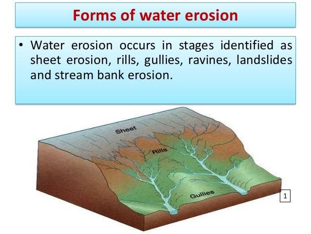 3 types of erosion